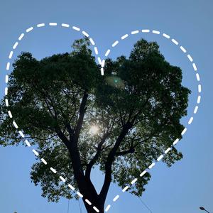 亚洲最大一级视频
